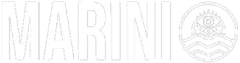 Logo 9